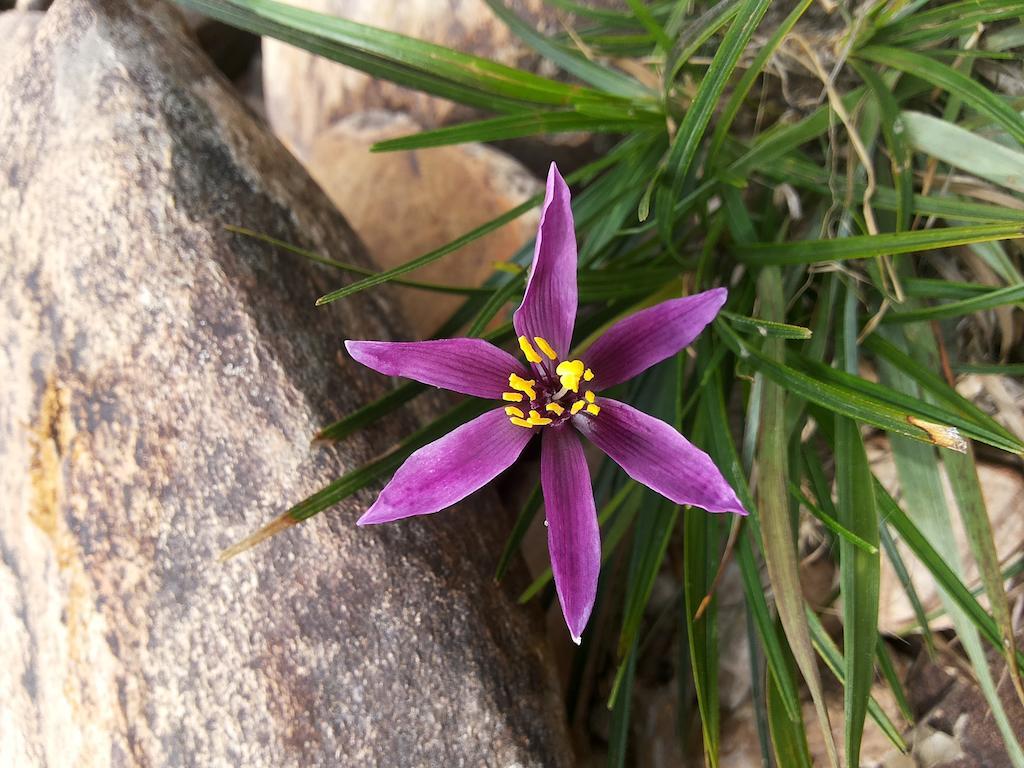 Pousada Anaue Cipo Serra do Cipo National Park Dış mekan fotoğraf
